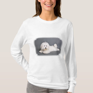 T-shirt Coton de Tulear - Joci