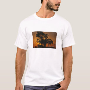 T-shirt Coucher de soleil de Savannah