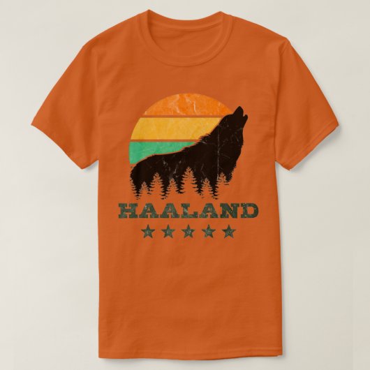 T-shirt Coucher de soleil Deb Haaland Wolf (Design devant)