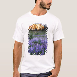 T-shirt Coucher de soleil sur le mont Adams et une prairie