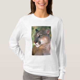 T-shirt Cougar, Californie