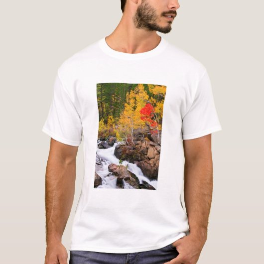 T-shirt Couleurs d'automne le long de Bishop Creek, CA (Devant)