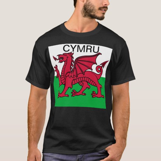 T-shirt Coupe du monde du drapeau de Galles 2022 Dragon ro (Devant)