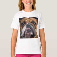 Coussin de jet de Bouledogue Anglais
