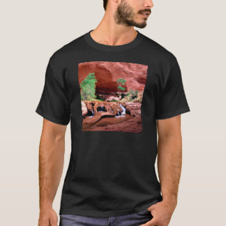 T-shirt Coyote Gulch Escalante Riverutah de canyon