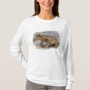 T-shirt Crapaud géant Rhinella marina, anciennement Bufo