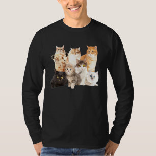 T-shirt Crazy Chat Lady Beaucoup De Chats Belle Fête Anima