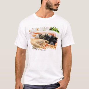 T-shirt Crevette et moules
