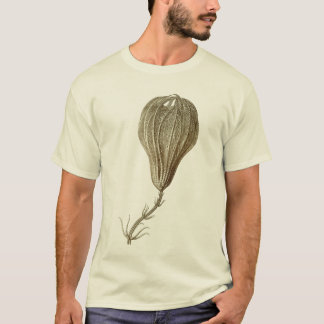 T-shirt Crinoids
