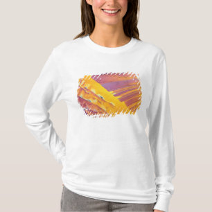T-shirt Cristaux d'acide oxalique