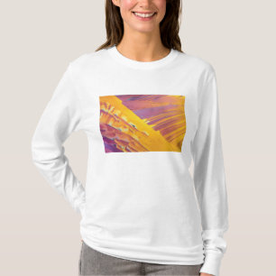 T-shirt Cristaux d'acide oxalique