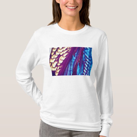 T-shirt Cristaux d'acide tartrique (Devant)