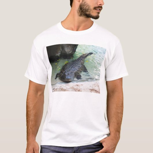 T-shirt Crocodile (Devant)