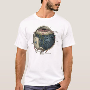 T-shirt Cru 1902 d'anatomie d'oeil humain