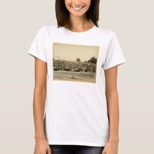 T-shirt Cuir de séchage, Argentine (copie d'albumen sur la