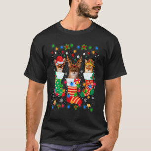 T-shirt Cute Abyssinian Chat Kitten Chaussettes de Noël No