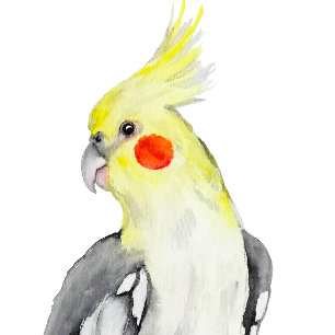 T-shirt Cute Cockatiel Aquarelle Parrot.