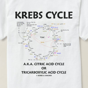 T-shirt Cycle Krebs (Cycle Citrique Acide - Biochimie)