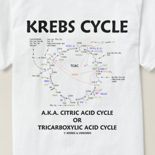 T-shirt Cycle Krebs (Cycle Citrique Acide - Biochimie)