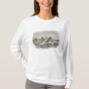 T-shirt Cygnes trompette dans la rivière Madison en hiver