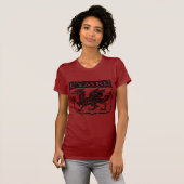 T-shirt Cymru - Pays de Galles - Vintage (Devant entier)