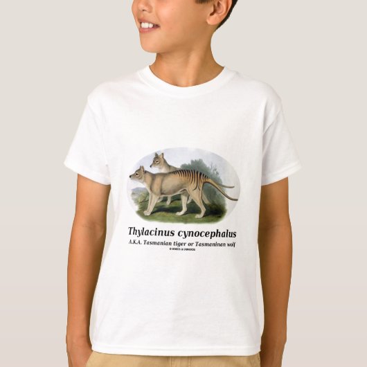 T-shirt Cynocephalus de Thylacinus (tigre ou loup (Devant)