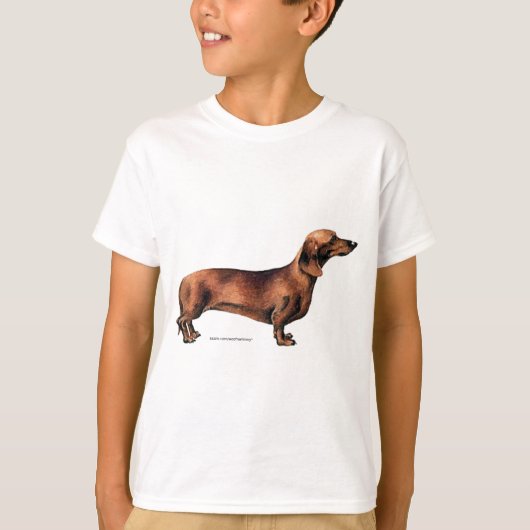 T-shirt Dachshund (Devant)