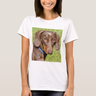 T-shirt Dachshund