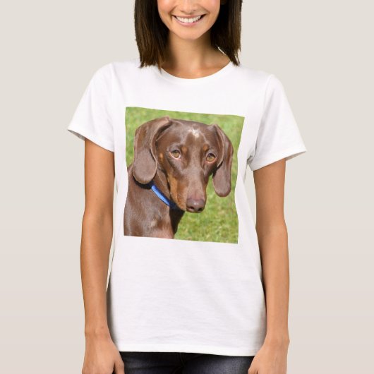 T-shirt Dachshund (Devant)