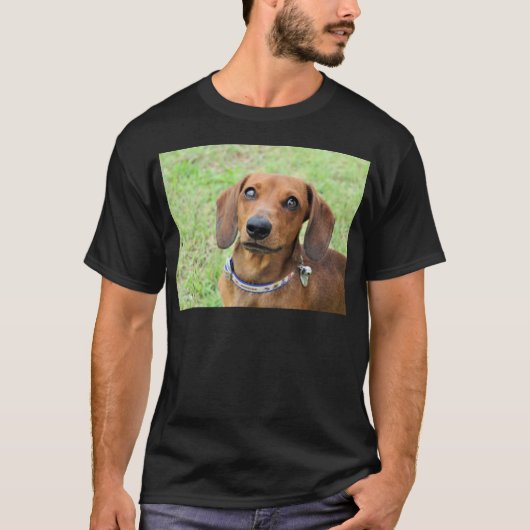 T-shirt Dachshund (Devant)