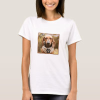 Dachshund Brun avec les Yeux Fermés