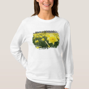 T-shirt Daffodils (RF)