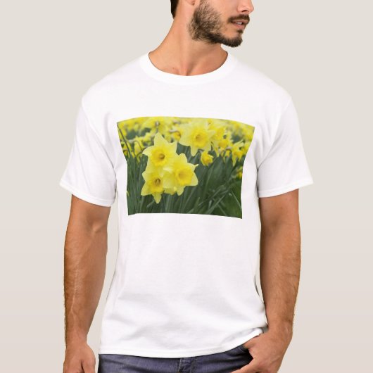 T-shirt Daffodils RF) (Devant)