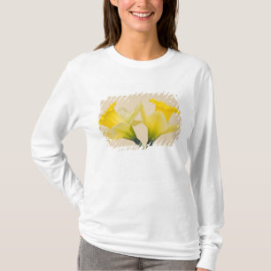 T-shirt Daffodique jaune