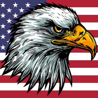 T-shirt d'aigle à chauve patriote