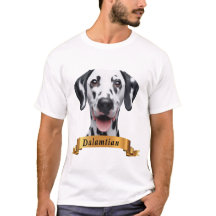 Dalmatie amour amical mignon chien doux