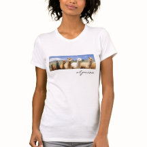 T-shirt d'alpaga