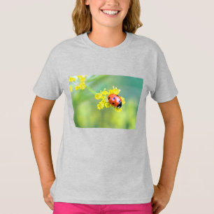 T-shirt dame sur le dessus
