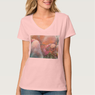 T-shirt d'anguille