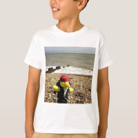 Danny Duck le Pirate