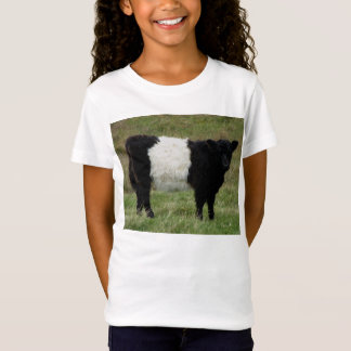 T-Shirt Dartmoor a ceinturé le regard de veau de Galloway