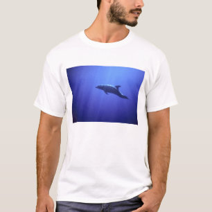 T-shirt Dauphin