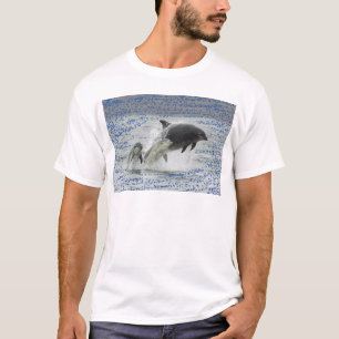 T-shirt Dauphins