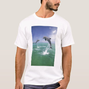 T-shirt Dauphins à gros nez Tursiops truncatus