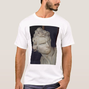 T-shirt David, petit groupe de la tête, 1623-23