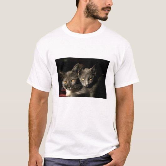 T-Shirt de base masculin de deux chats gris (Devant)