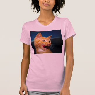 T-shirt de chat tigré