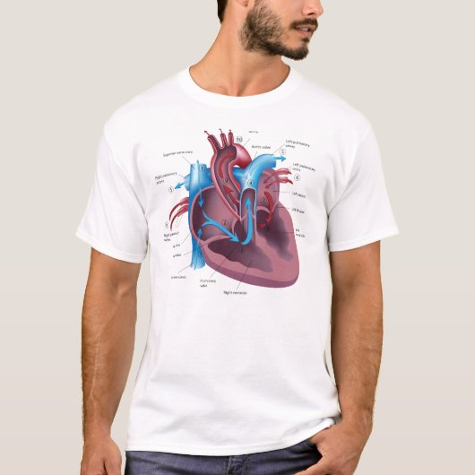 T-shirt de cool d'anatomie de coeur (Devant)