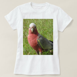 T-shirt de Galah