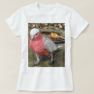 T-shirt de Galah